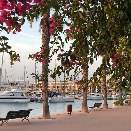 P-3- комната в квартире для 1 человека в центре Alloggio in famiglia Alicante